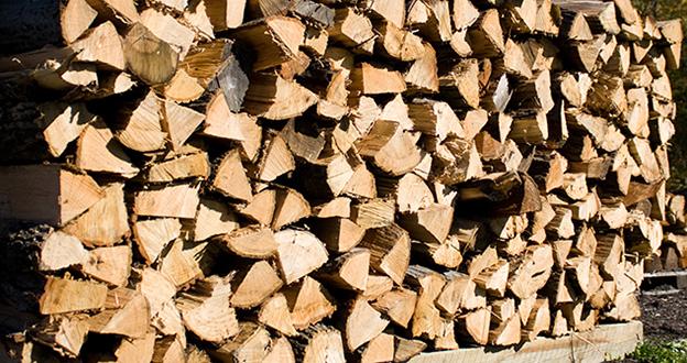 Firewood