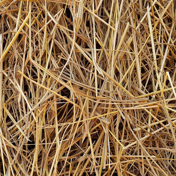 Straw & Hay Bale for Sale, Landscape Supply Cleveland